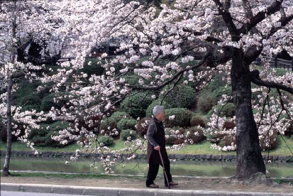 Walking Alone