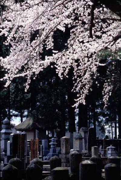 Graveyard