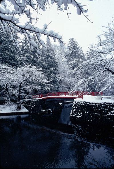 Bridge